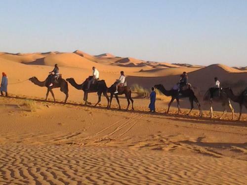 Merzouga & Camel Trekking Camp