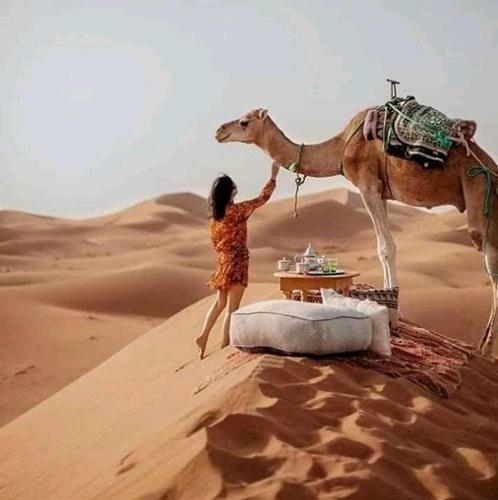 Merzouga & Camel Trekking Camp
