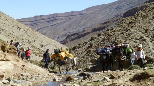 Posada Auberge Amazigh