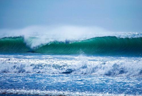 Albergue Tayought Surf House