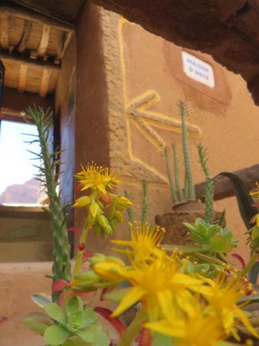 Albergue Casa Rural Kasbah Des Pyramides
