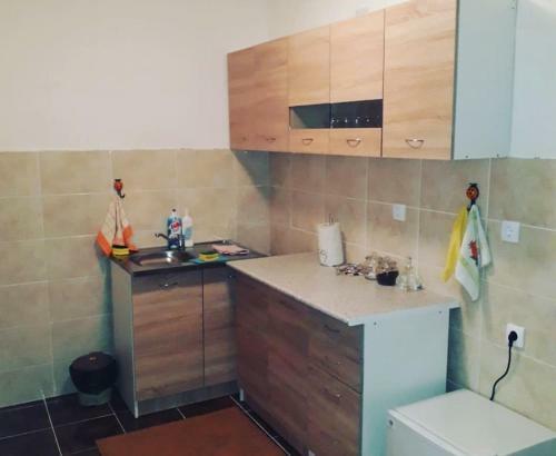 Apartman Sljivancanin