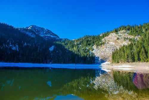Hostal Rooms & Apartments Durmitor