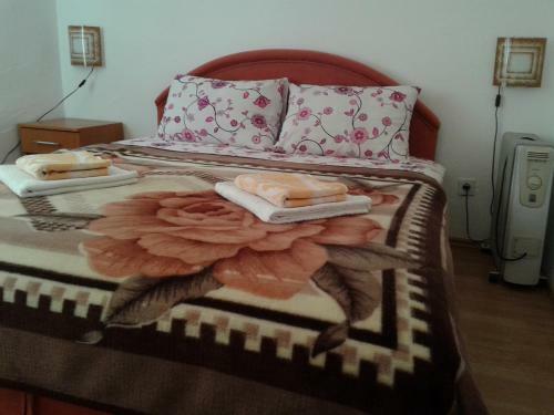 Hostal Apartmani Sobe Sljivancanin