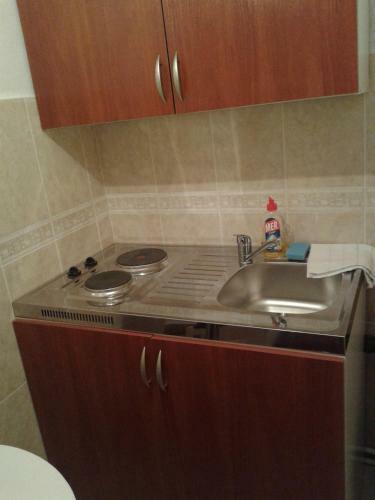 Hostal Apartmani Sobe Sljivancanin