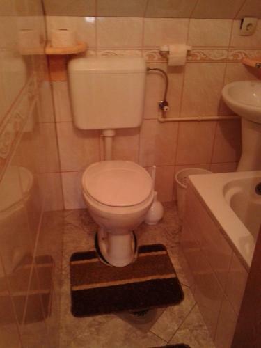 Hostal Apartmani Sobe Sljivancanin