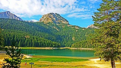 Apartman Svetlana
