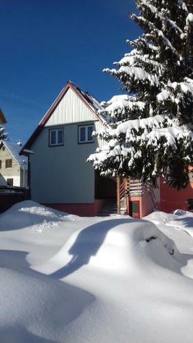 Apartment Home Popovic