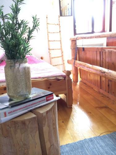 Apartmani Bo?ana Vojinovic