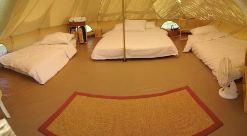 Ok Koral Nature Holidays