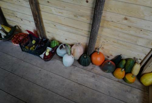 Ok Koral Nature Holidays