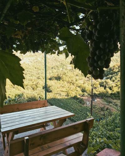 Hostal Apartments "old House Pajovic"