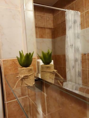 Hostal Guesthouse Vukasevic