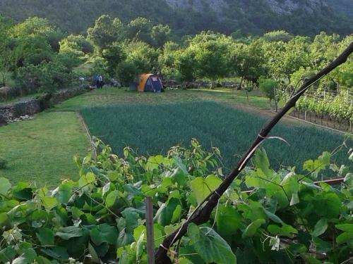 Hostal Guesthouse Feel Lake