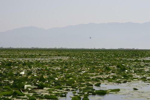 Hostal Guesthouse Skadar Lake