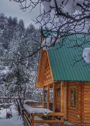 Lodge Brvnara Borovik