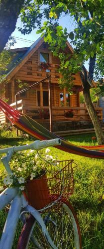 Lodge Brvnara Borovik