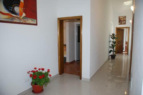 Hostal Guest House Nura
