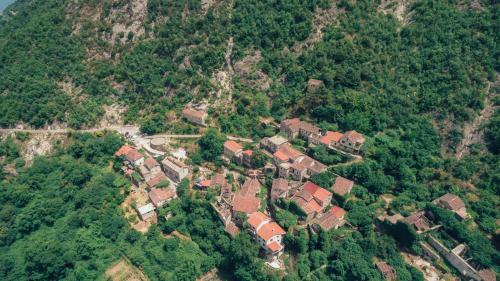 Agroturismo Rustic House Lekovi?