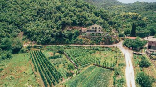Agroturismo Rustic House Lekovi?