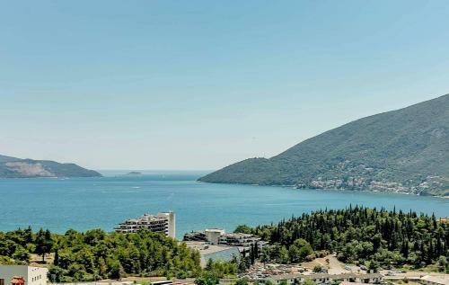 Vasic Apartments