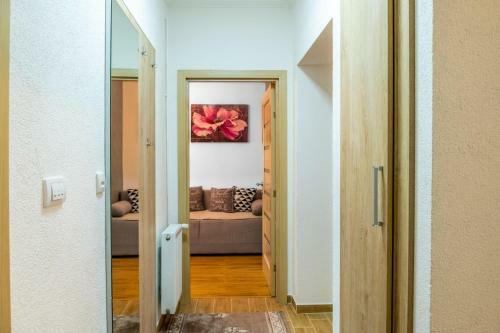 Vujisi? Apartment In The City Center