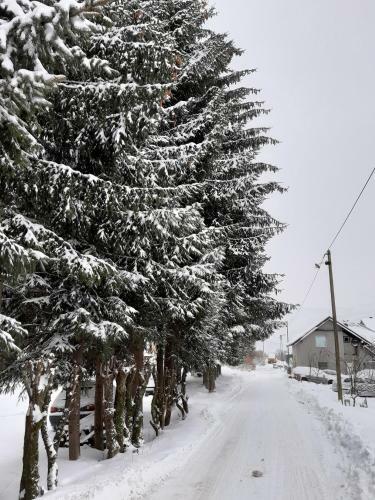 Kolasin Bok Holiday Home