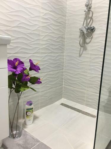 Apartmani Ognjanovic Kotor