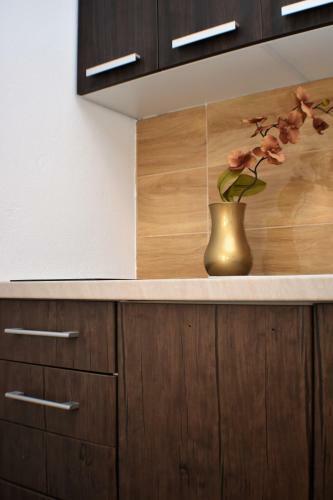Apartmani Ognjanovic Kotor