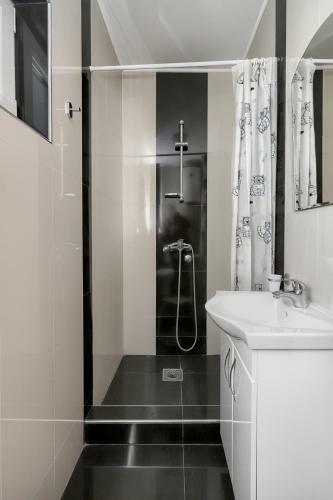 Apartments Viki
