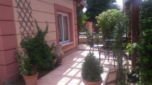 Apartments Dragovi? Nik?i?