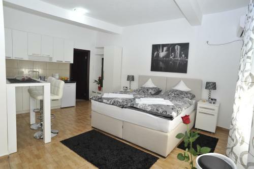 Apartment Jovana Nik?i?