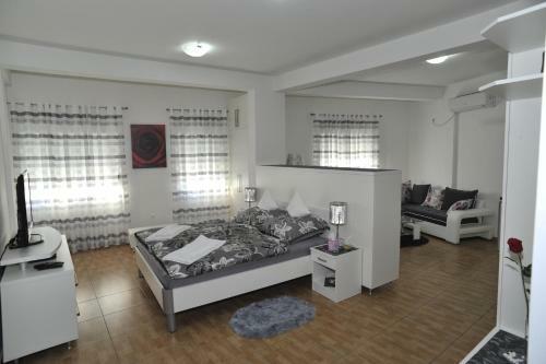 Apartment Jovana Nik?i?