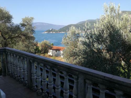 Apartman Irena