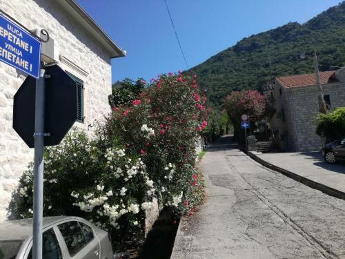 Apartman Irena