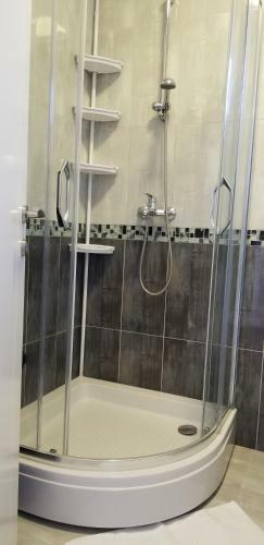 Apartment Vila Mirela