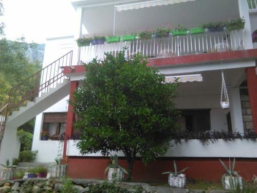 Hostal Guest House Lav