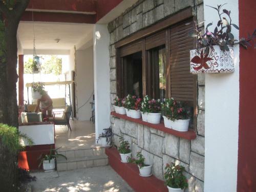 Hostal Guest House Lav