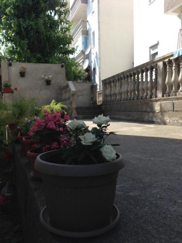 Hostal Villa Aleksic
