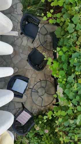 Apartments Beba Zalad