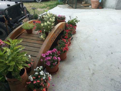 Hostal Apartments Blagoje