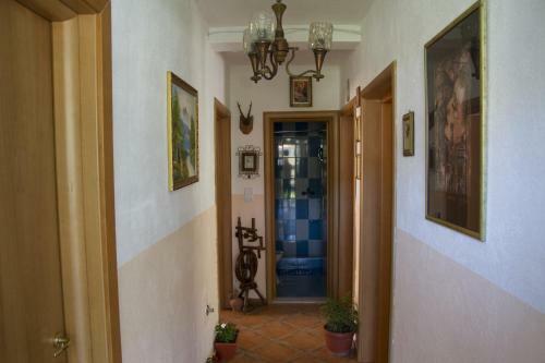 Hostal Apartments Blagoje