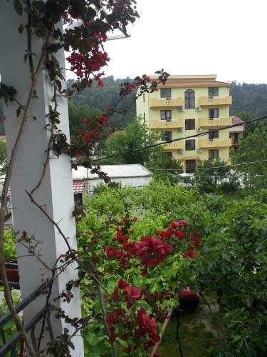 Hostal Apartments Blagoje