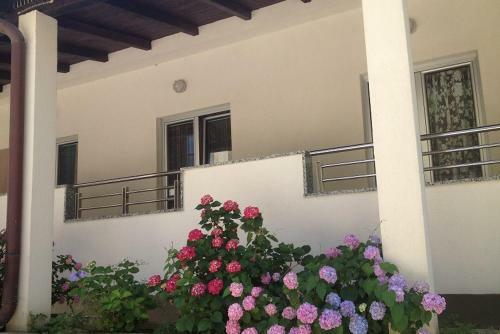 Apartments Milos