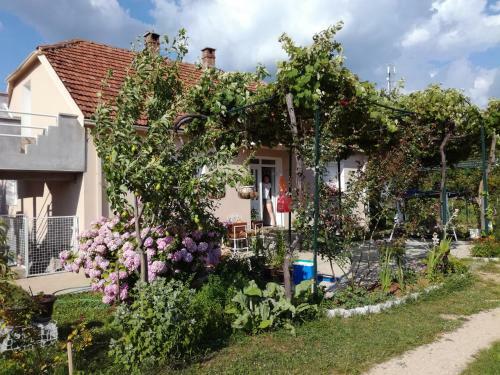 Bed & Breakfast Frile Apartments