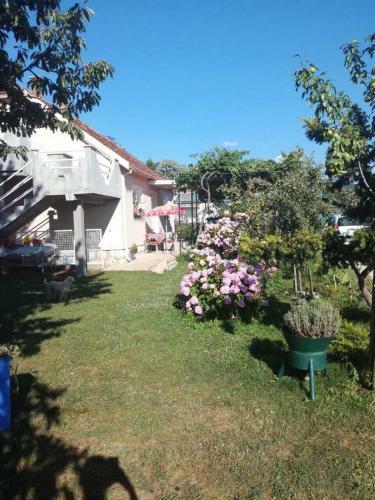 Bed & Breakfast Frile Apartments