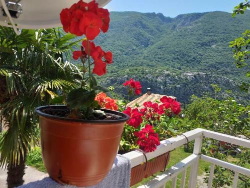 Hostal Apartman Vesna