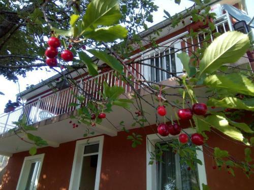 Hostal Apartman Vesna