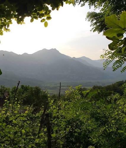 Hostal Apartman Vesna