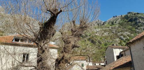 Hostal Guesthouse Nikoleta